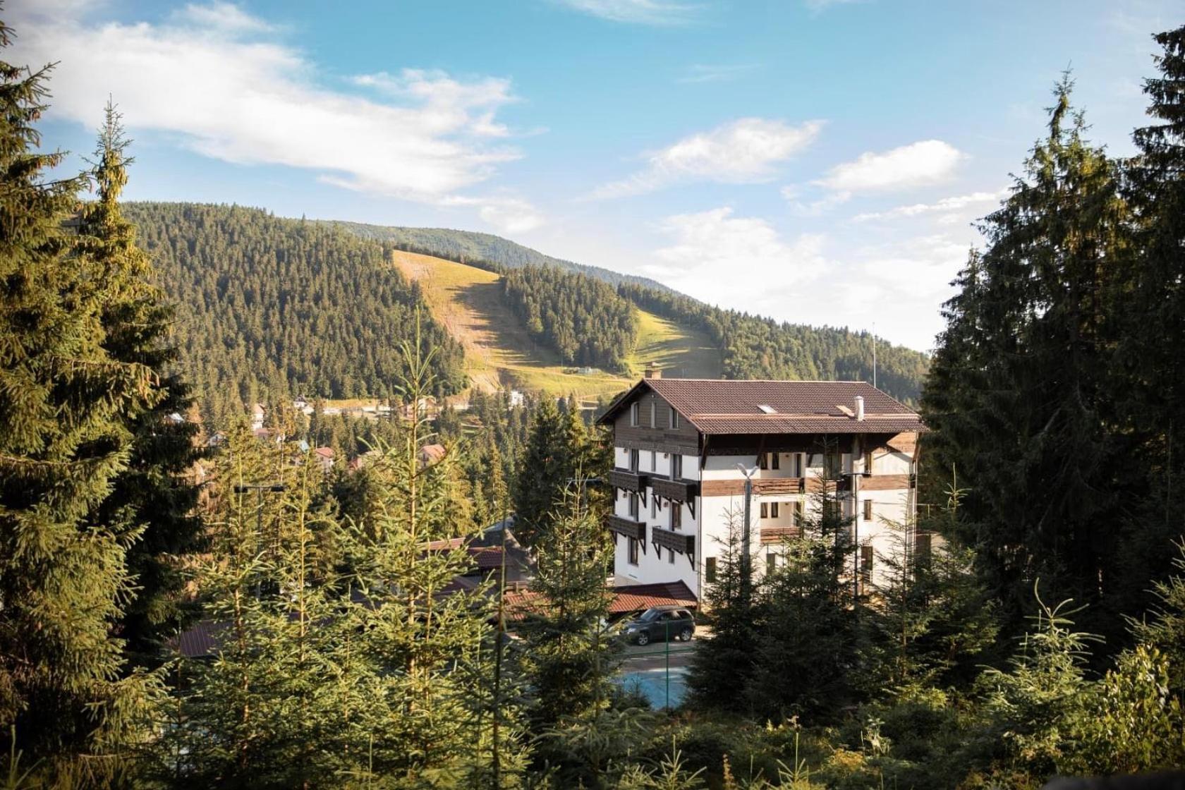 Pensiunea Panoramic วาร์ท็อป ภายนอก รูปภาพ