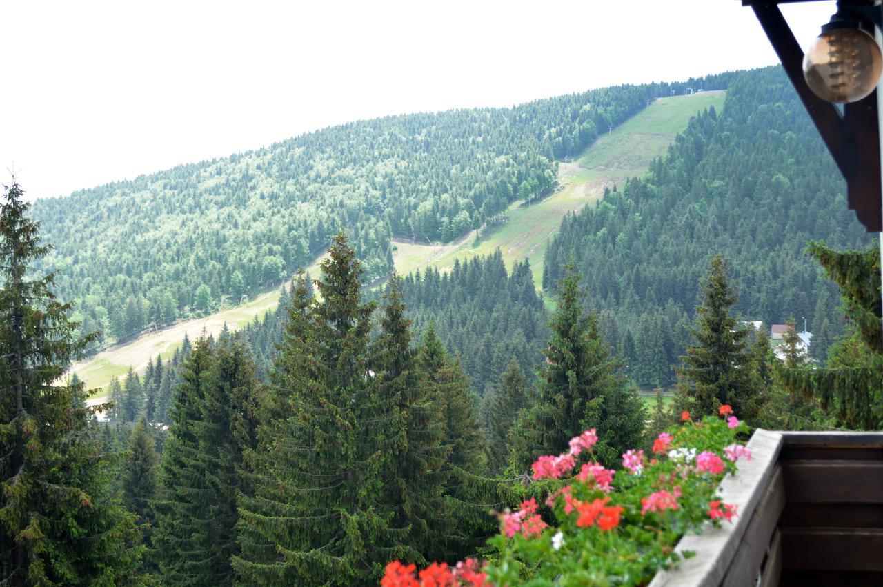 Pensiunea Panoramic วาร์ท็อป ภายนอก รูปภาพ